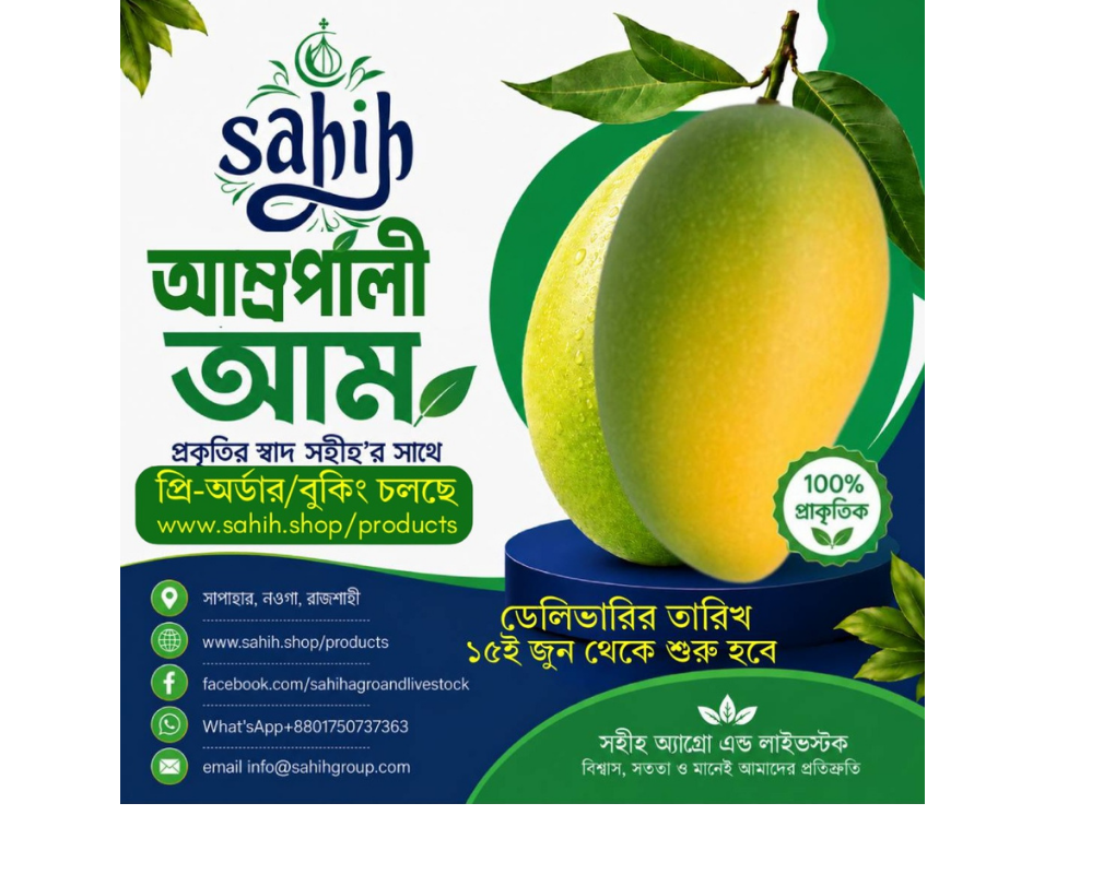 Sahih Fresh Amropali Mango (আম্রপালি,সাপাহার) Stock Out