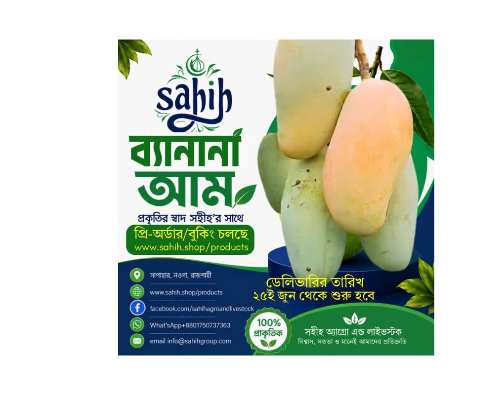 Sahih Fresh Banana Mango  (ব্যানানা, সাপাহার) Stock Out