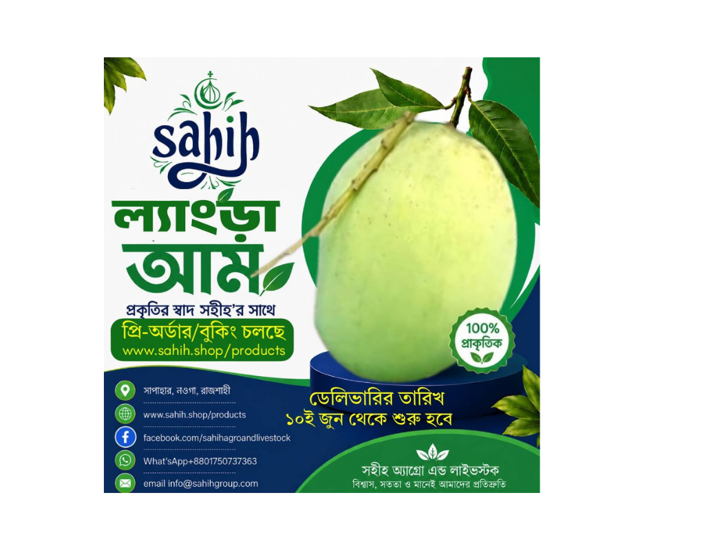 Sahih Fresh Langra Mango  (ল্যাংড়া,সাপাহার) Stock Out