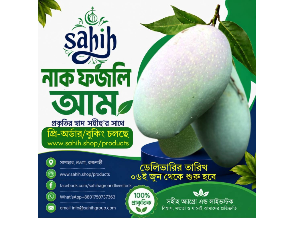 Sahih Fresh Nak Fazli Mango (নাকফজলি,রাজশাহী) Stock Out