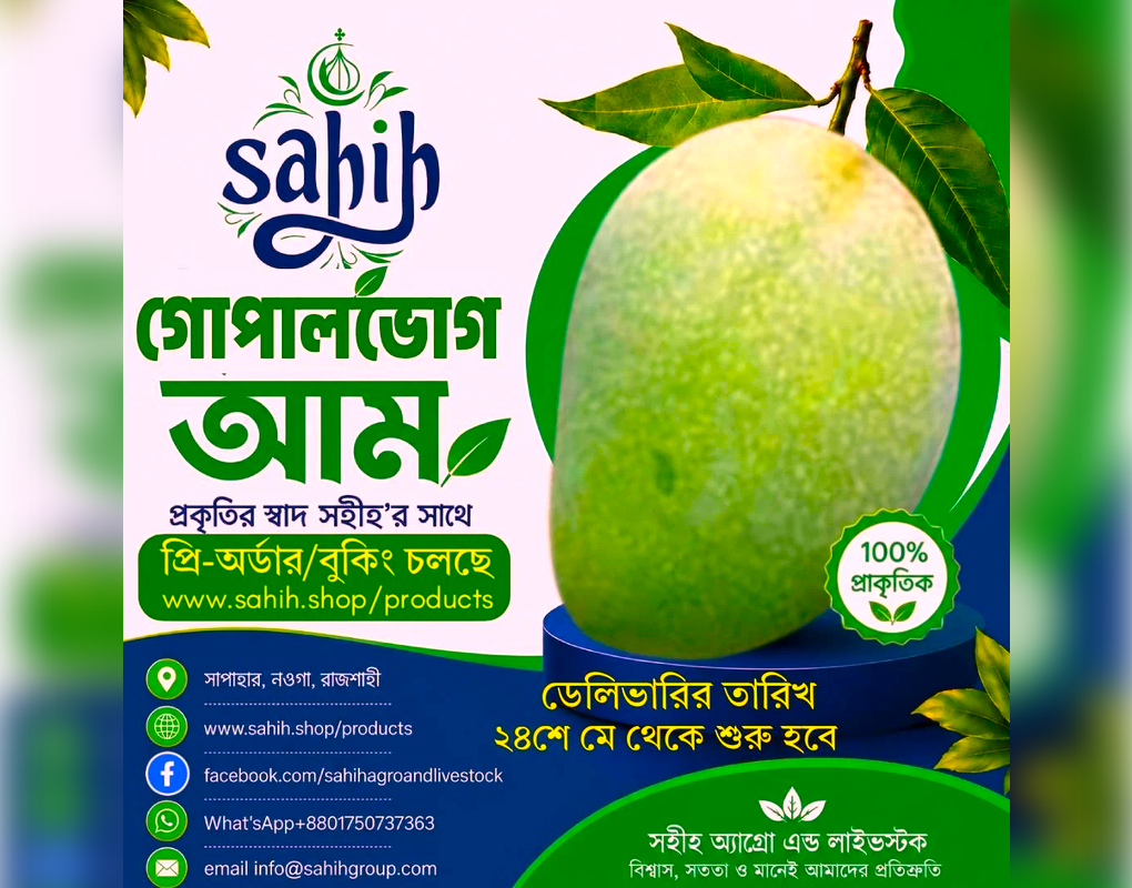 Sahih Premium Gopalbhog Mango (গোপালভোগ,রাজশাহী) +ডেলিভারি